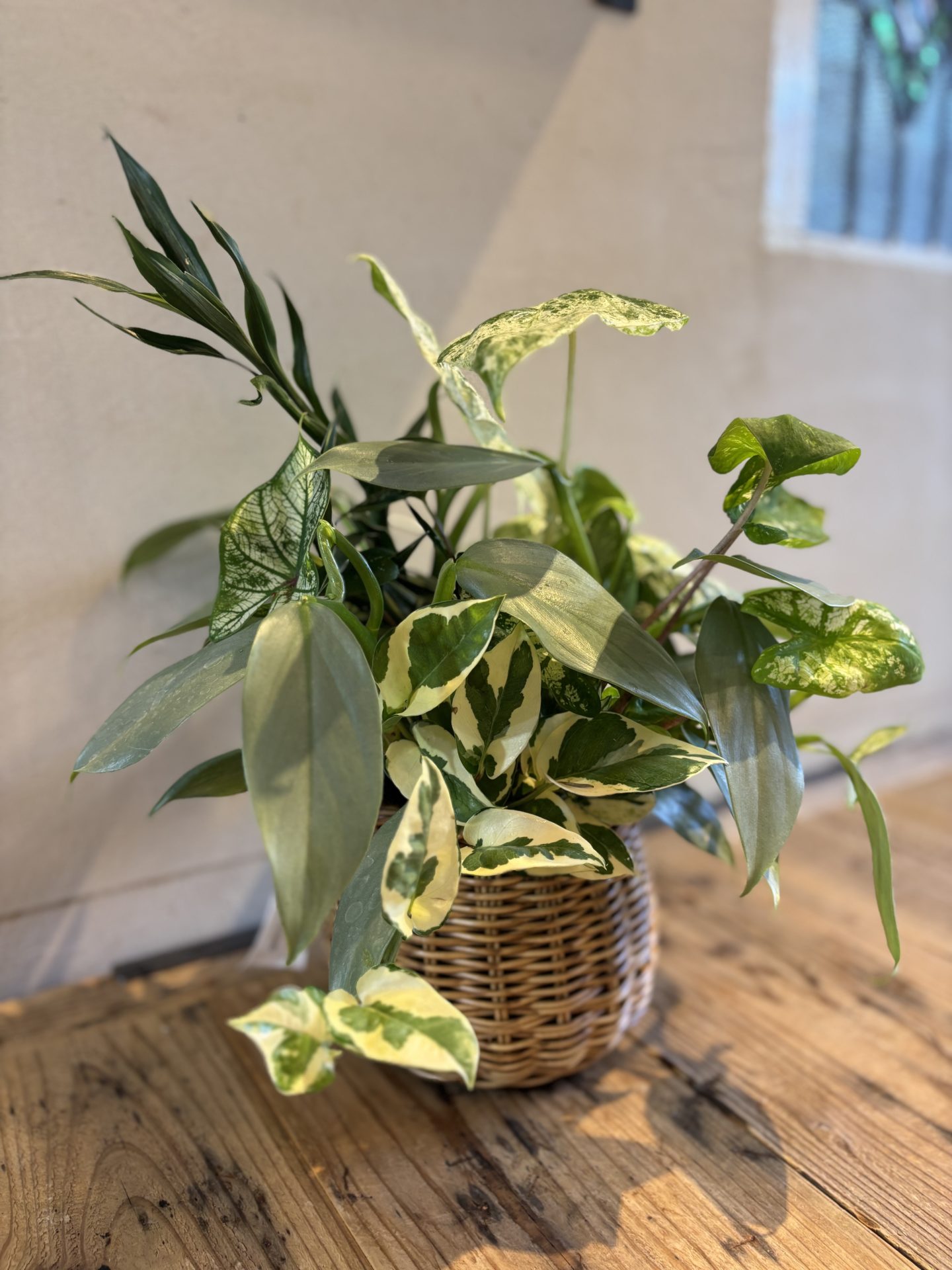 8月のワークショップ